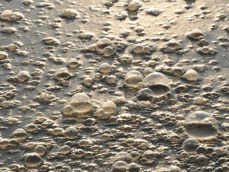 在線水質(zhì)監(jiān)測(cè)系統(tǒng)可用于生活廢水監(jiān)測(cè)