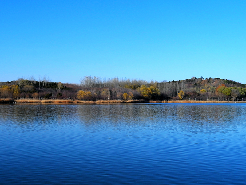 1646212642838799.png QQ截圖20220302171609.png