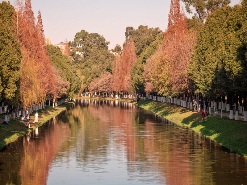 水質(zhì)檢測(cè)儀 水質(zhì)檢測(cè)儀