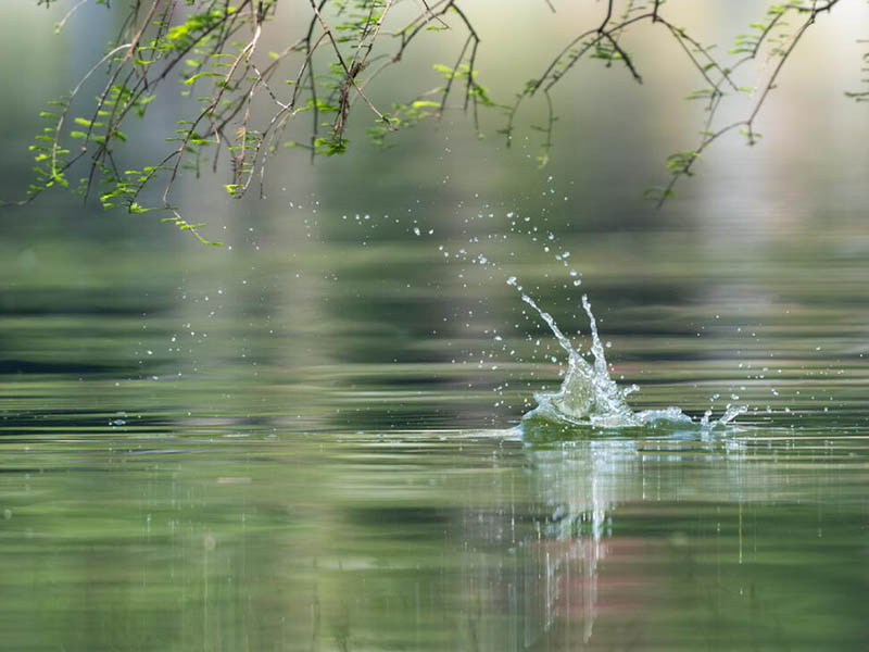 全國地表水水質(zhì)優(yōu)良斷面比例為84.9%
