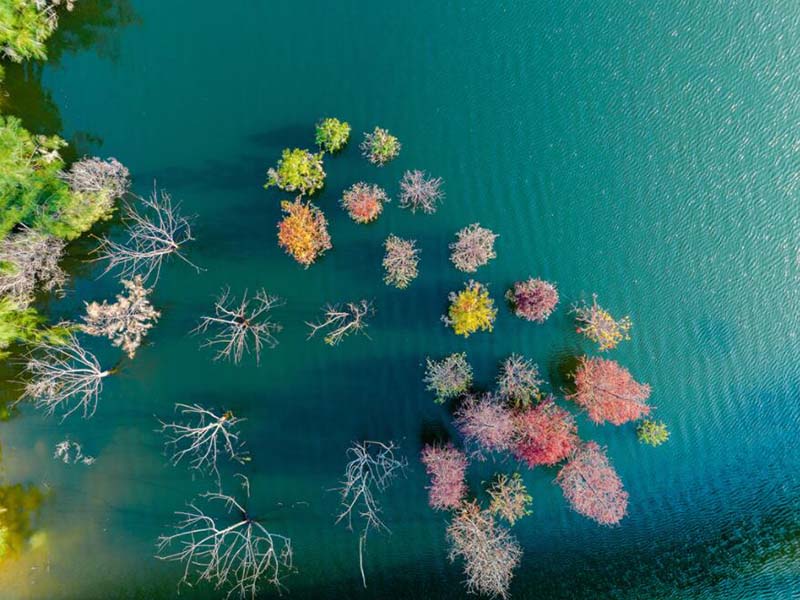 COD檢測(cè)儀消解比色一體管好處是什么(COD檢測(cè)常見問題及解決)