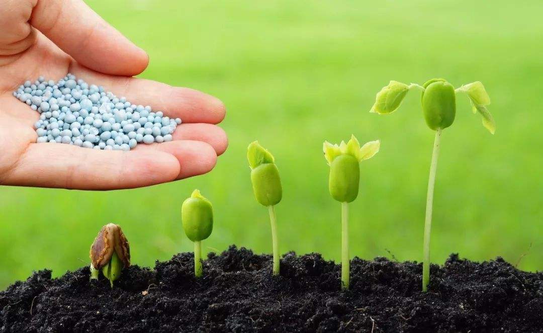 土壤微量元素檢測器