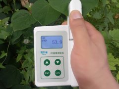 植物的葉綠素含量影響植物的生長(zhǎng)